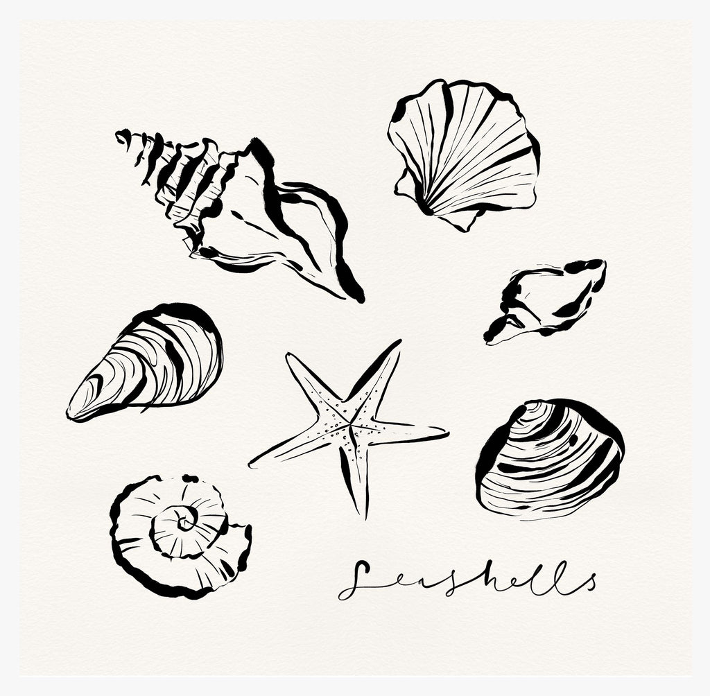 Framed Print-WF1100F - Shells Framed Print-Whistlefish