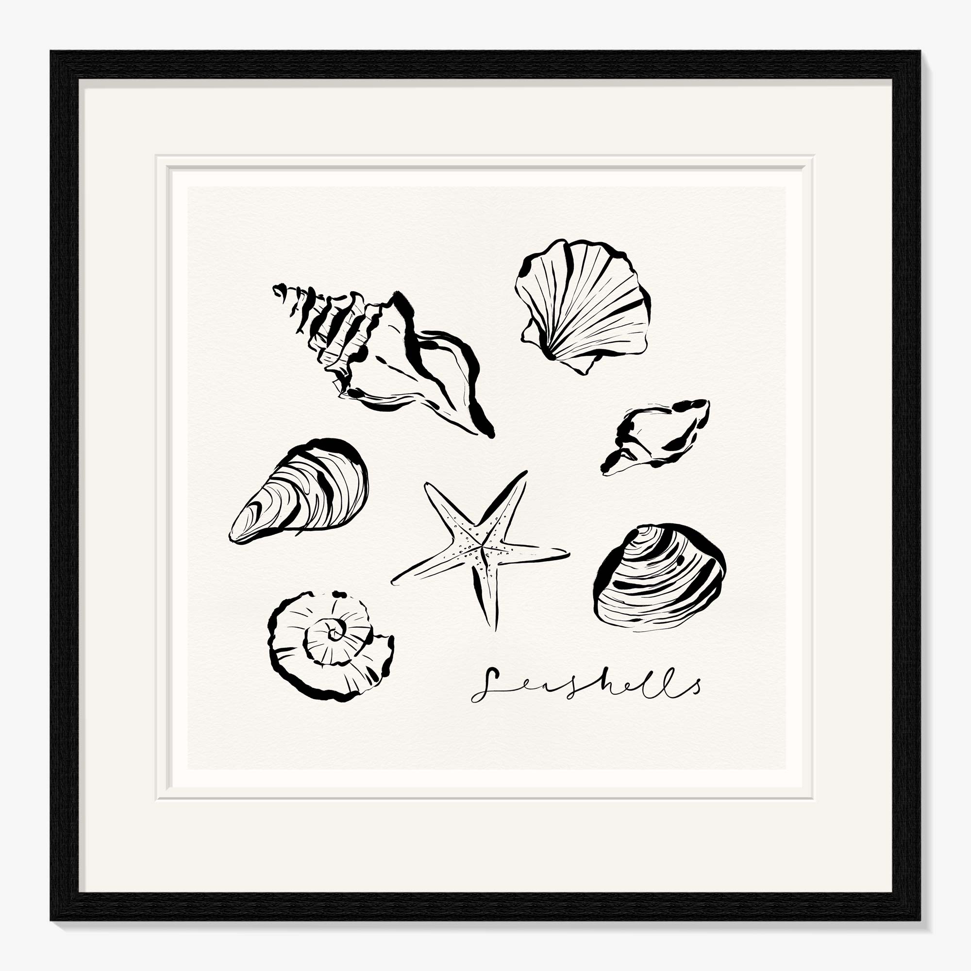 Framed Print-WF1100F - Shells Framed Print-Whistlefish