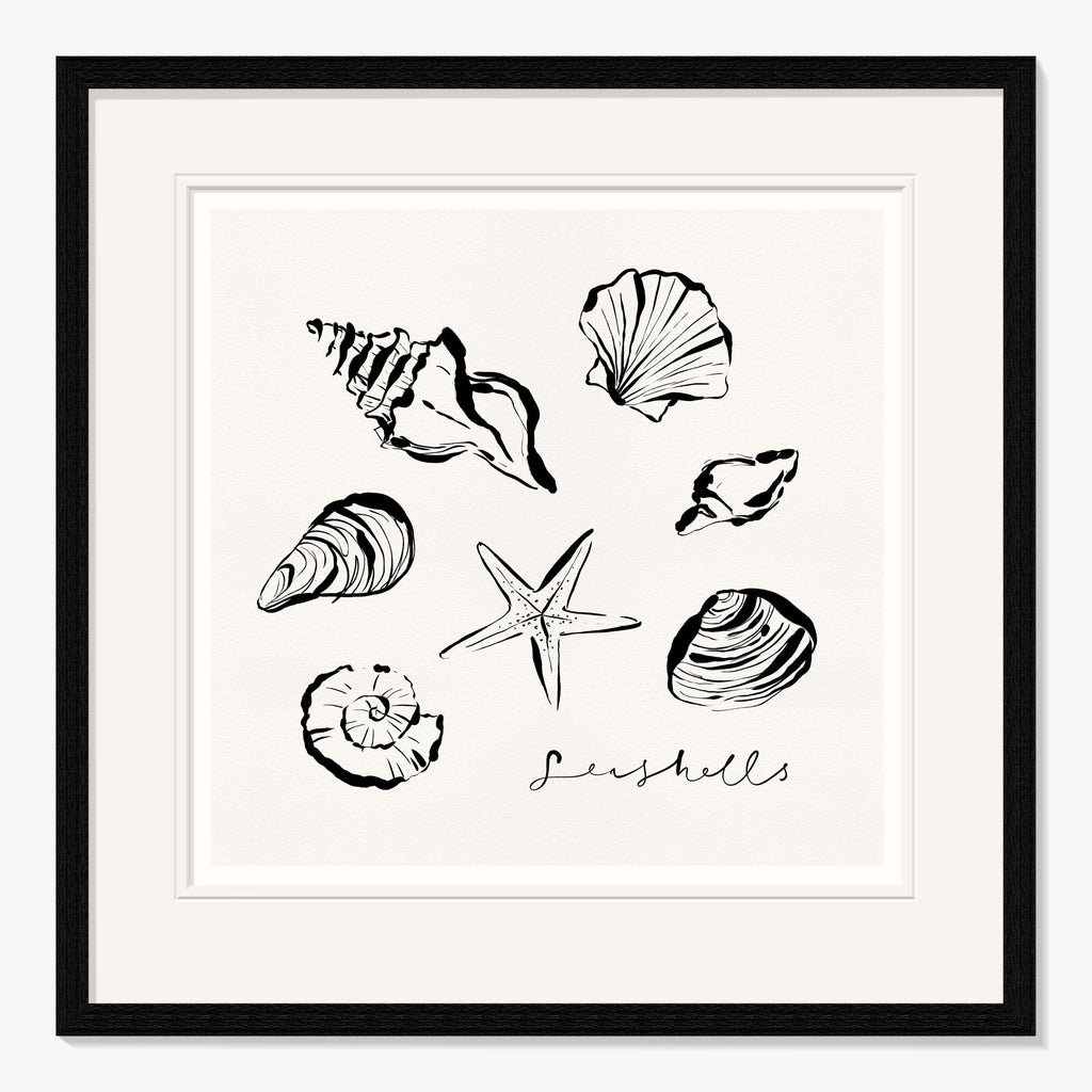 Framed Print-WF1100F - Shells Framed Print-Whistlefish