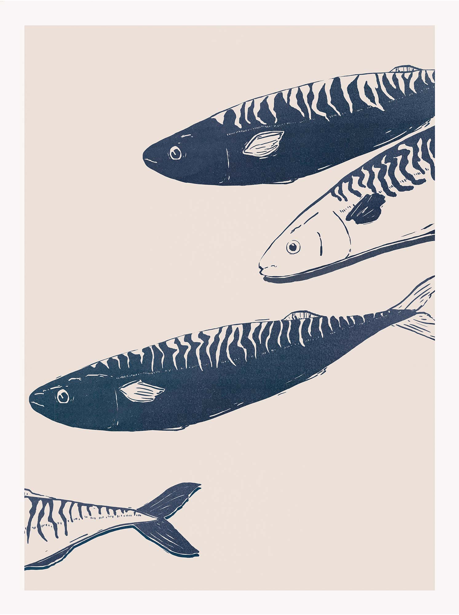 Framed Print-WF1196F - Mackerel Large Framed Print-Whistlefish