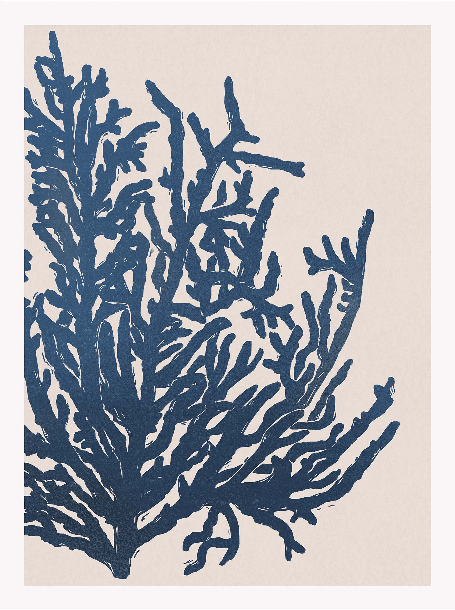 Framed Print-WF1197F - Seaweed Large Framed Print-Whistlefish