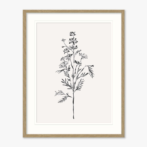 Framed Print-WF1207F - Elegant Floral Framed Print-Whistlefish