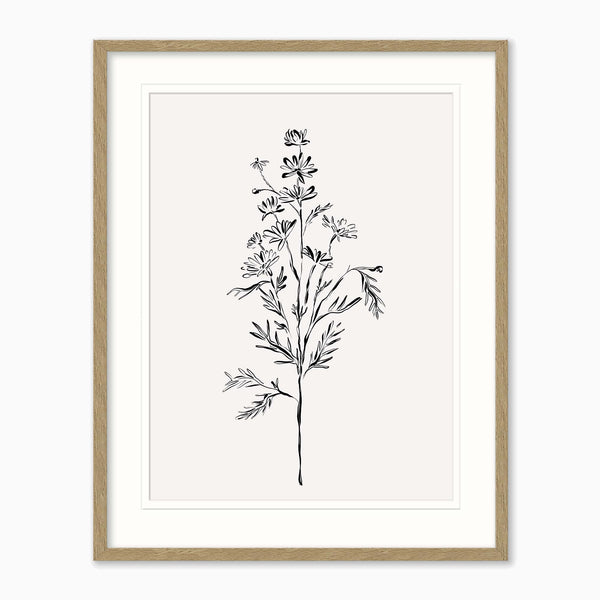 Framed Print-WF1207F - Elegant Floral Framed Print-Whistlefish