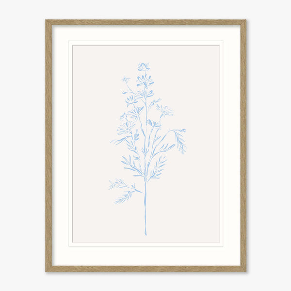 Framed Print-WF1208F - Wildflower Stem Framed Print-Whistlefish