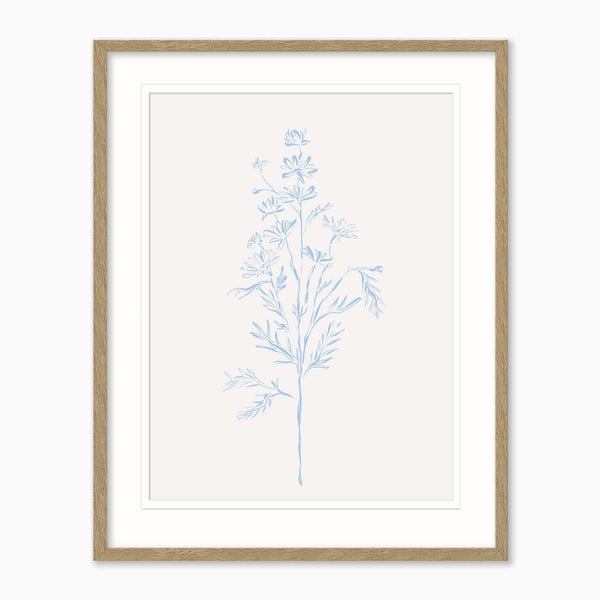 Framed Print-WF1208F - Wildflower Stem Framed Print-Whistlefish