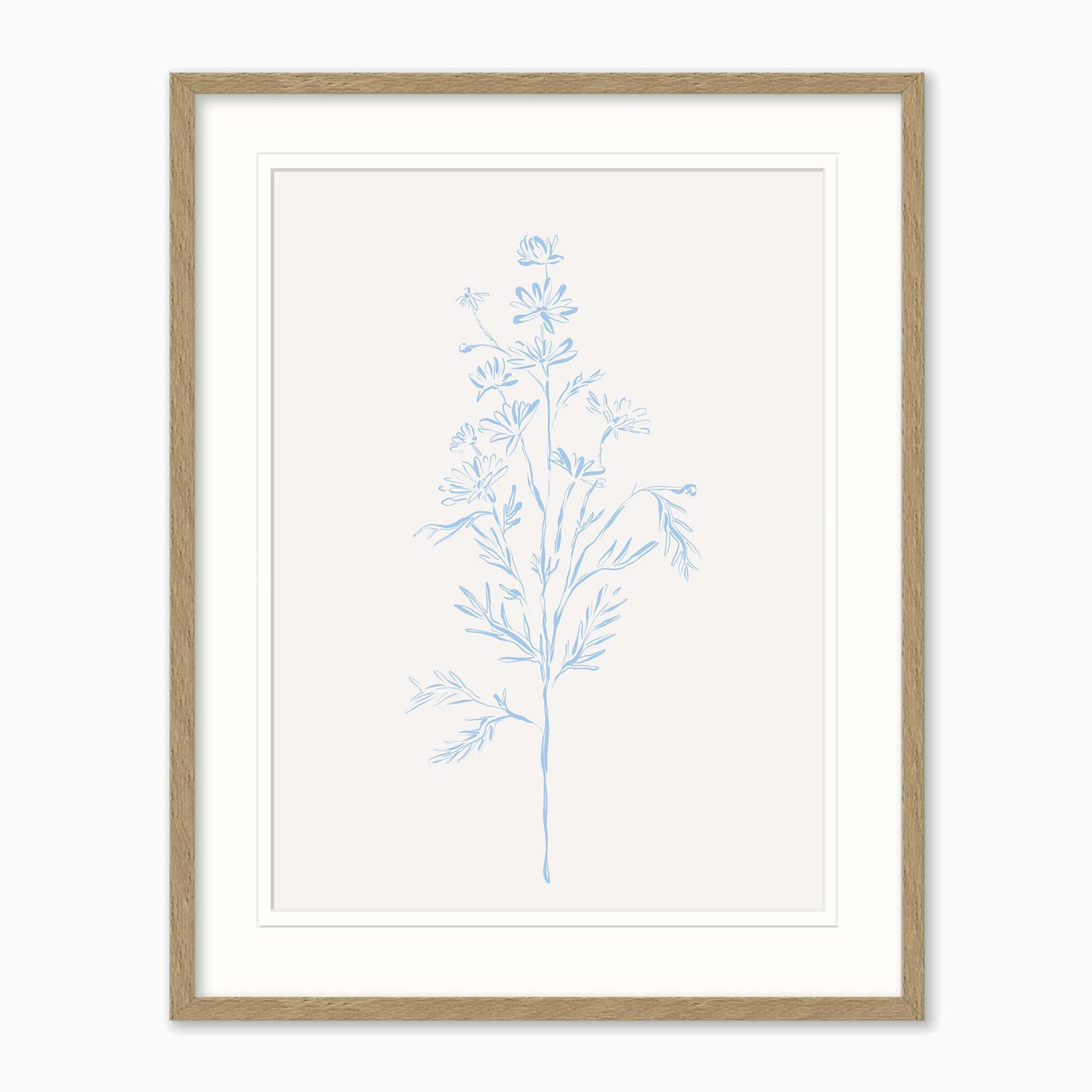 Framed Print-WF1208F - Wildflower Stem Framed Print-Whistlefish