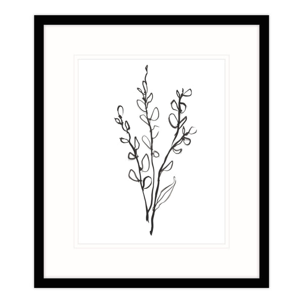 Framed Print-WF574F - Leaf Study III Framed Print-Whistlefish