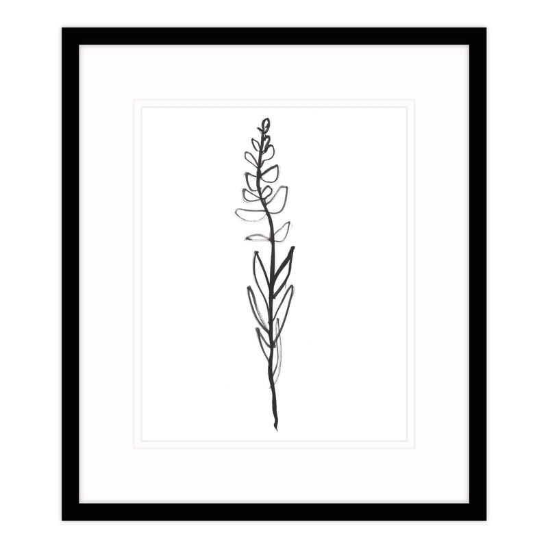 Framed Print-WF577F - Single Stem Framed Print-Whistlefish