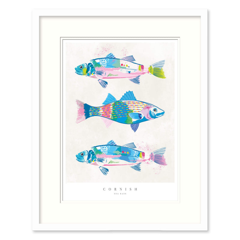 Framed Print - WF713F - Cornish Sea Bass Small Framed Print - Cornish Sea Bass Small Framed Print - Whistlefish