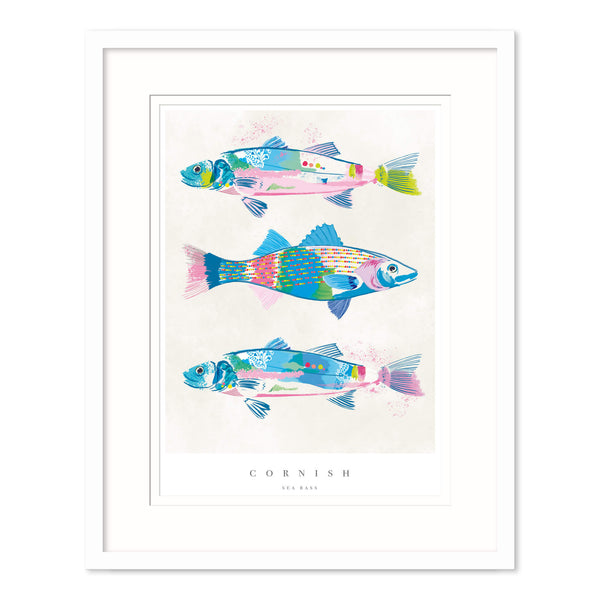 Framed Print-WF718F - Cornish Sea Bass Medium Framed Print-Whistlefish