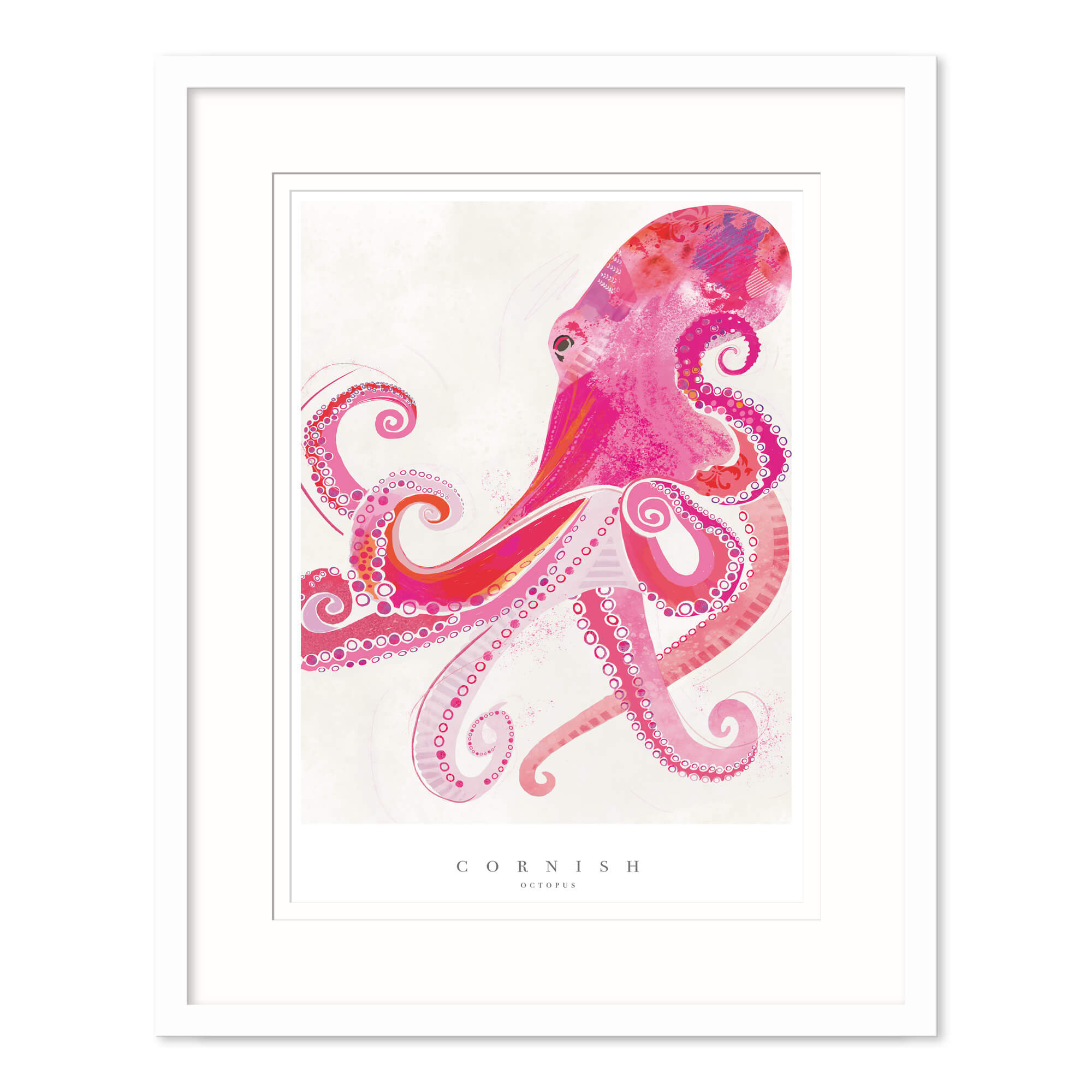 Framed Print-WF719F - Cornish Octopus Medium Framed Print-Whistlefish