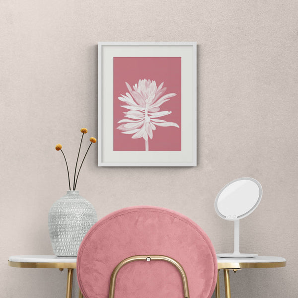 Framed Print - WF916F - Pink Protea Small Framed Print - Pink Protea Small Framed Print - Whistlefish