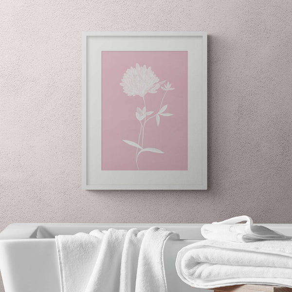 Framed Print - WF918F - Pink Clover Small Framed Print - Pink Clover Small Framed Print - Whistlefish