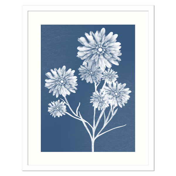 Framed Print-WF919F - Dahlia Medium Framed Print-Whistlefish