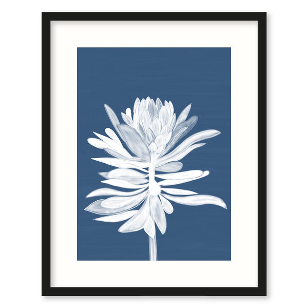 Framed Print-WF921F - Protea Small Framed Print-Whistlefish