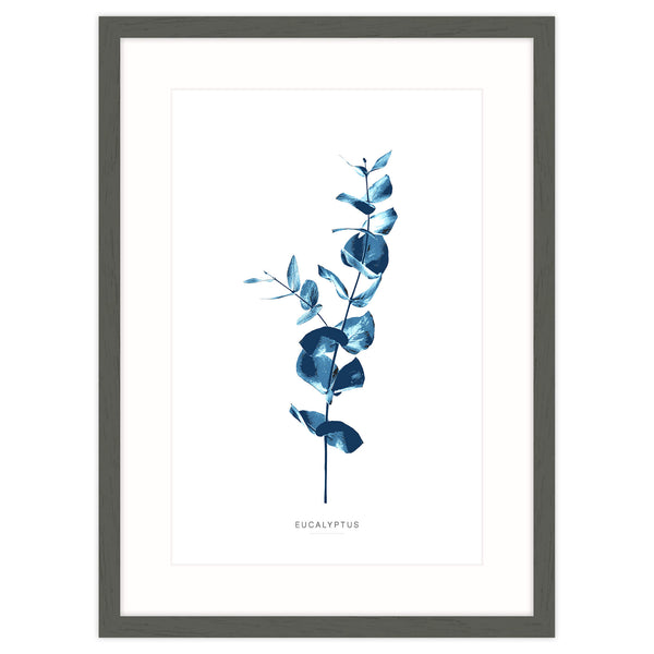 Framed Print-WT99F - Eucalyptus Framed Print-Whistlefish