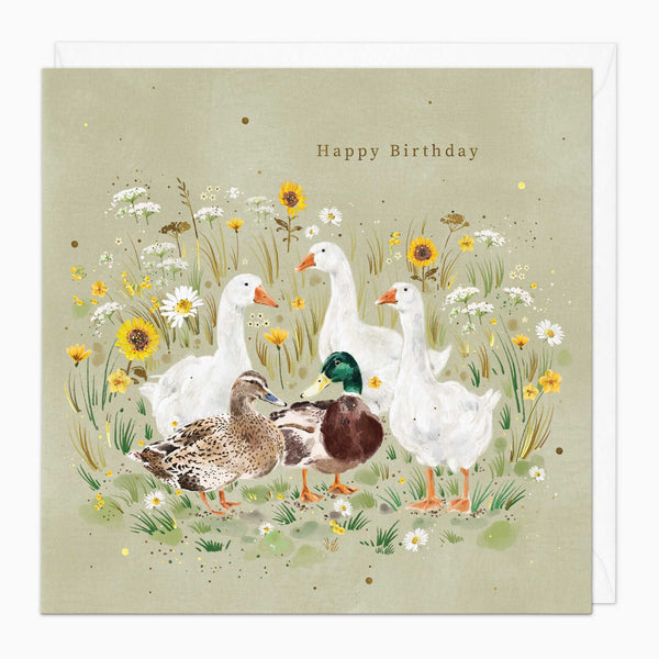 G159 - Ducks & Geese Birthday Card