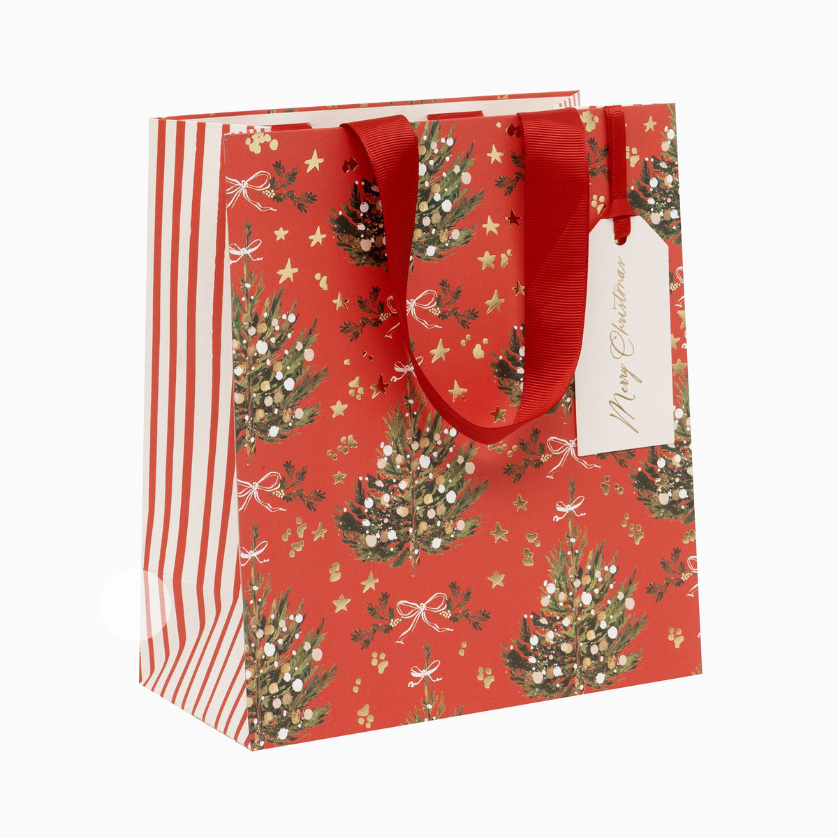 GMSX2668 - Red Fir Radiance Medium Gift Bag