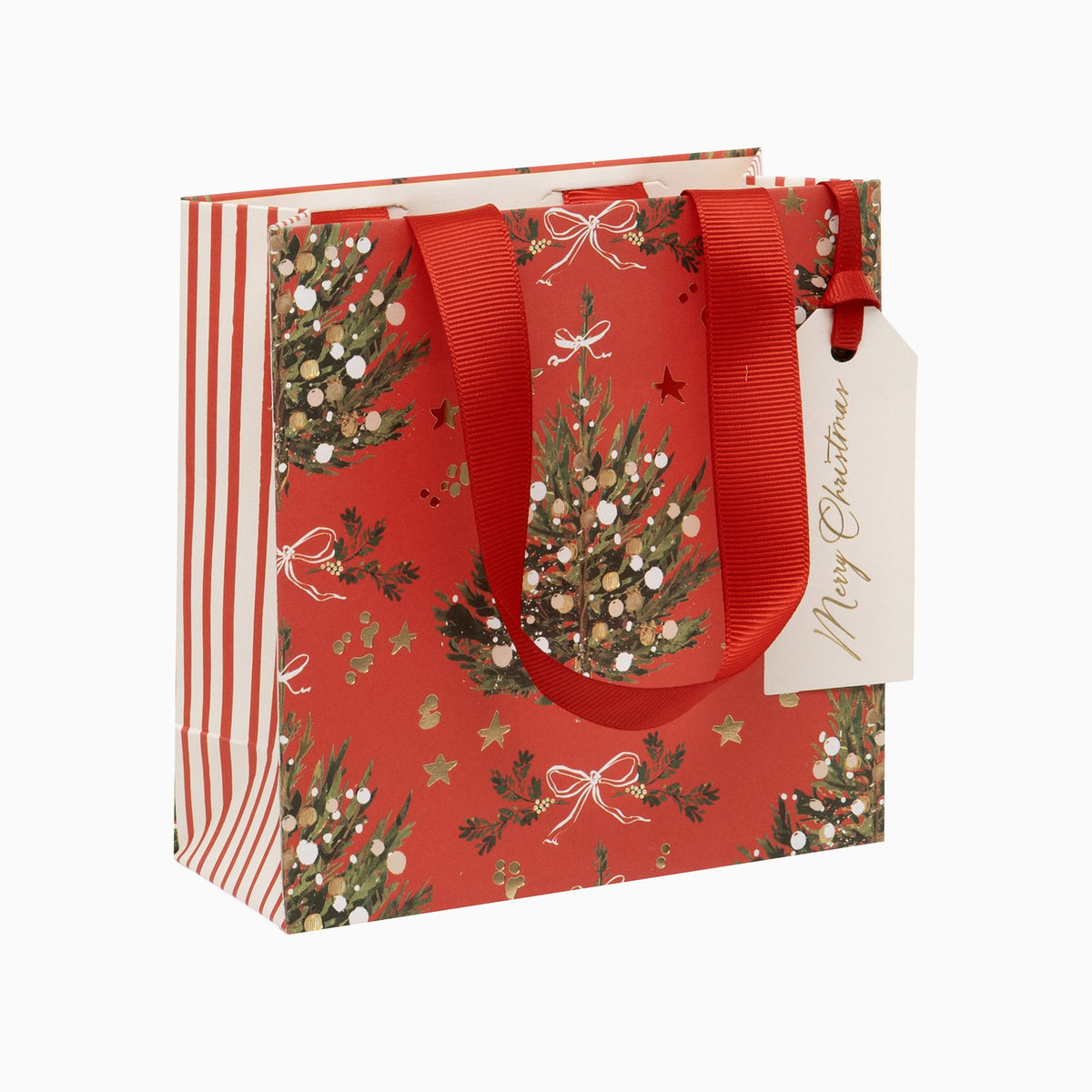 GSSX2668 - Red Fir Radiance Small Gift Bag
