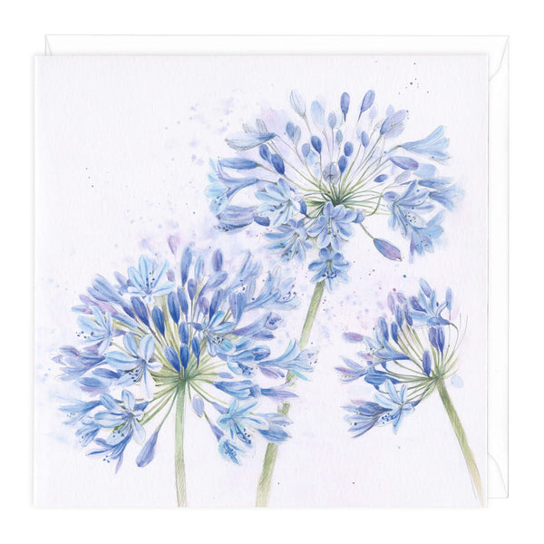 Greeting Card-A476 - Agapanthus Floral Art Card-Whistlefish