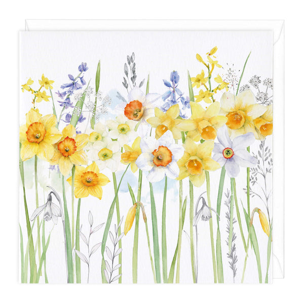 Greeting Card-B683 - Daffodils Floral Art Card-Whistlefish