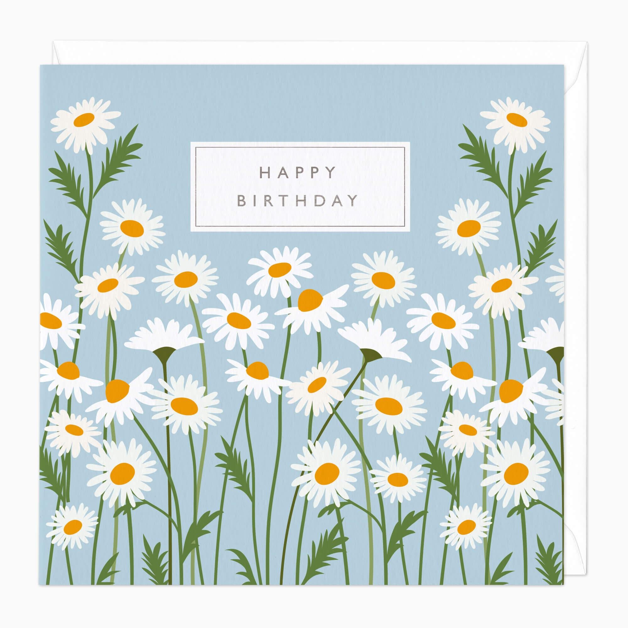 Greeting Card-D272 - Wild Daisies Birthday Card-Whistlefish
