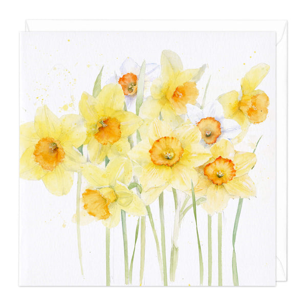 Greeting Card-D369 - Narcissi Art Card-Whistlefish