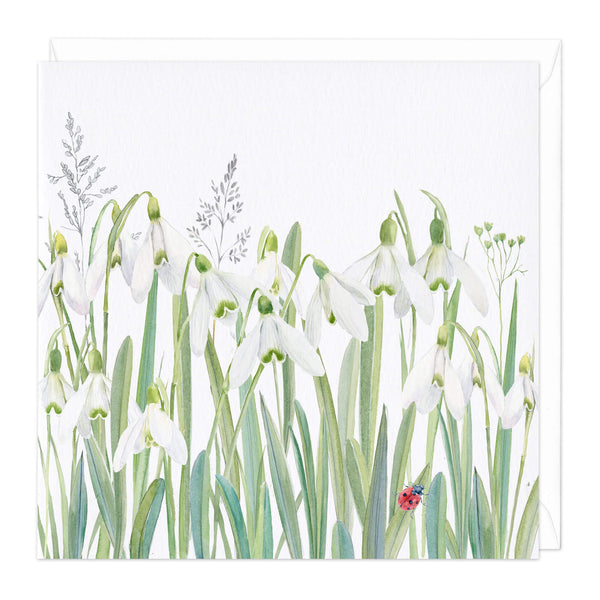 Greeting Card-D378 - Snowdrops Art Card-Whistlefish