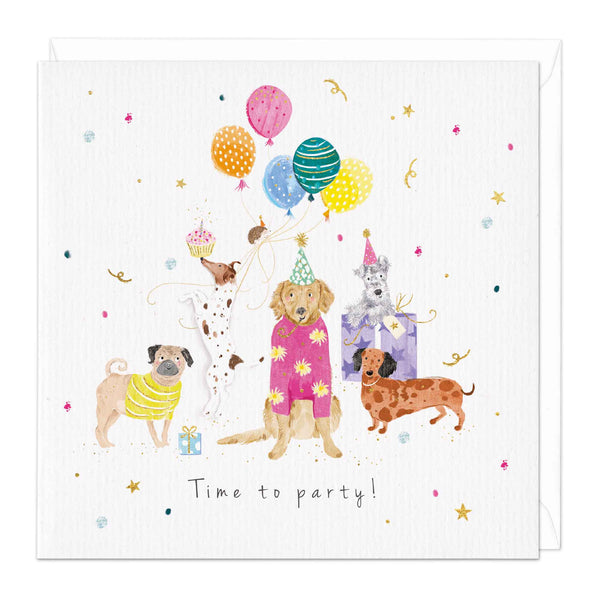 Greeting Card-D652 - Time To Party Birthday Card-Whistlefish
