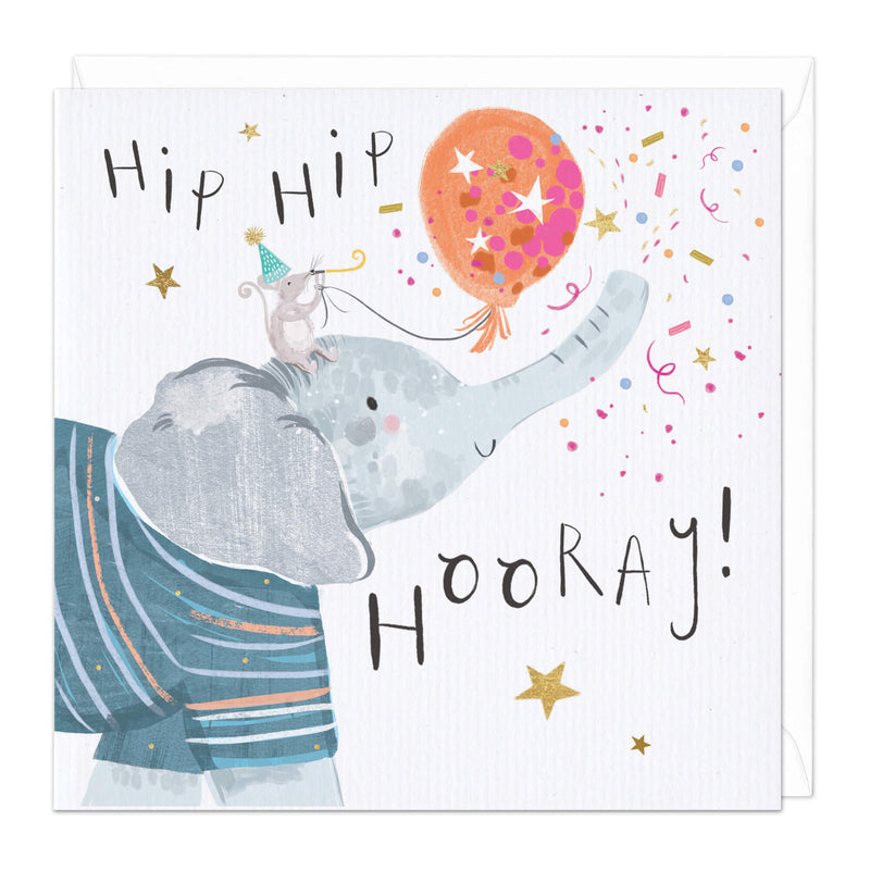 Greeting Card-D684 - Hip Hip Hooray Birthday Card-Whistlefish