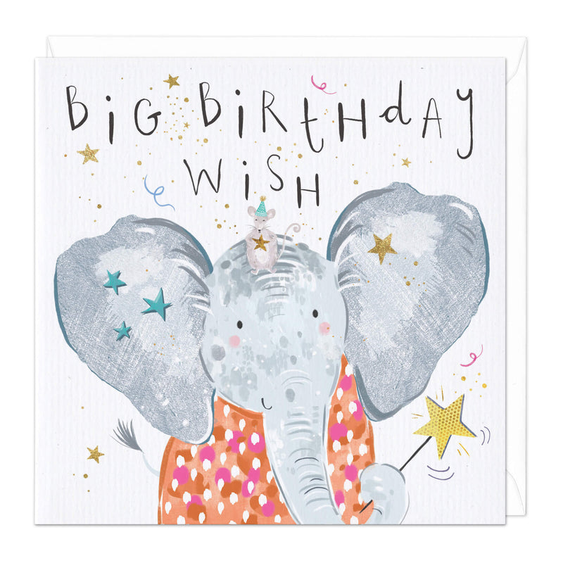 D686 - Big Birthday Wish Birthday Card