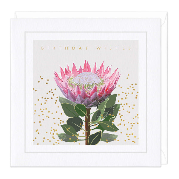 Greeting Card-E050 - Protea Flower Birthday Wishes Card-Whistlefish