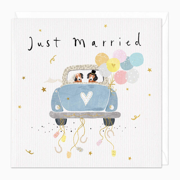 Greeting Card-E078 - Just Married Wedding Card-Whistlefish