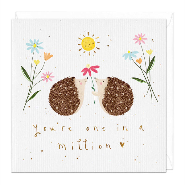 Greeting Card-E149 - One In A Million Hedgehog Card-Whistlefish
