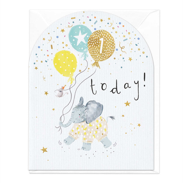 Greeting Card - E329 - 1 Today Elephant Birthday Card - 
