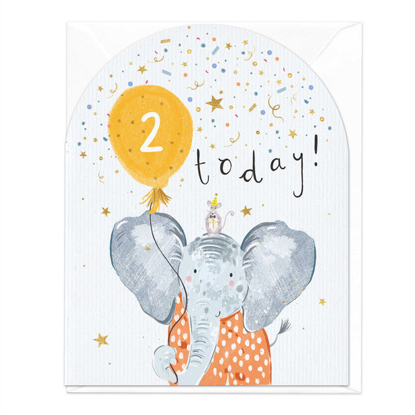 Greeting Card - E330 - 2 Today Elephant Birthday Card - 