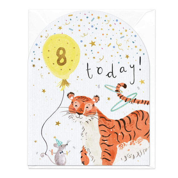 Greeting Card-E336 - 8 Today Zebra Birthday Card-Whistlefish