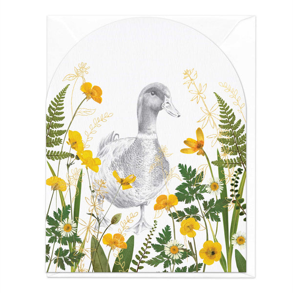 Greeting Card-E346 - Duck in Pressed Buttercups Card-Whistlefish