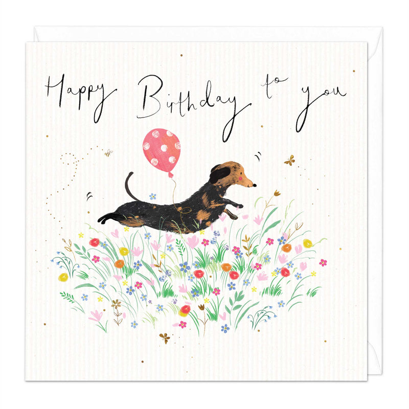 Greeting Card-E356 - Sausage Dog Field Birthday Card-Whistlefish