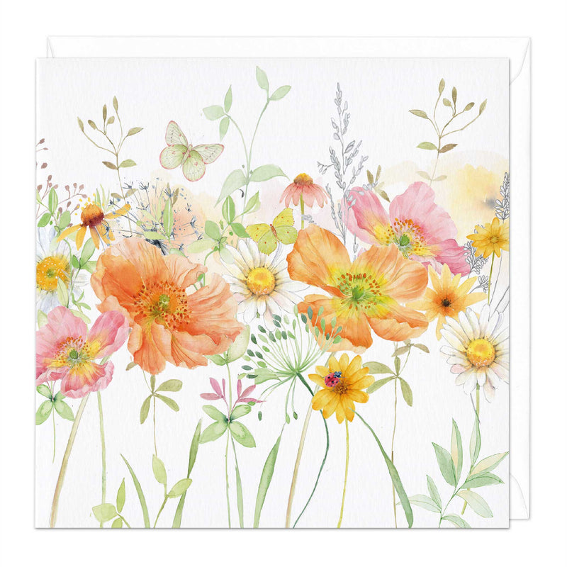Greeting Card-E363 - Poppies & Daisies Card-Whistlefish
