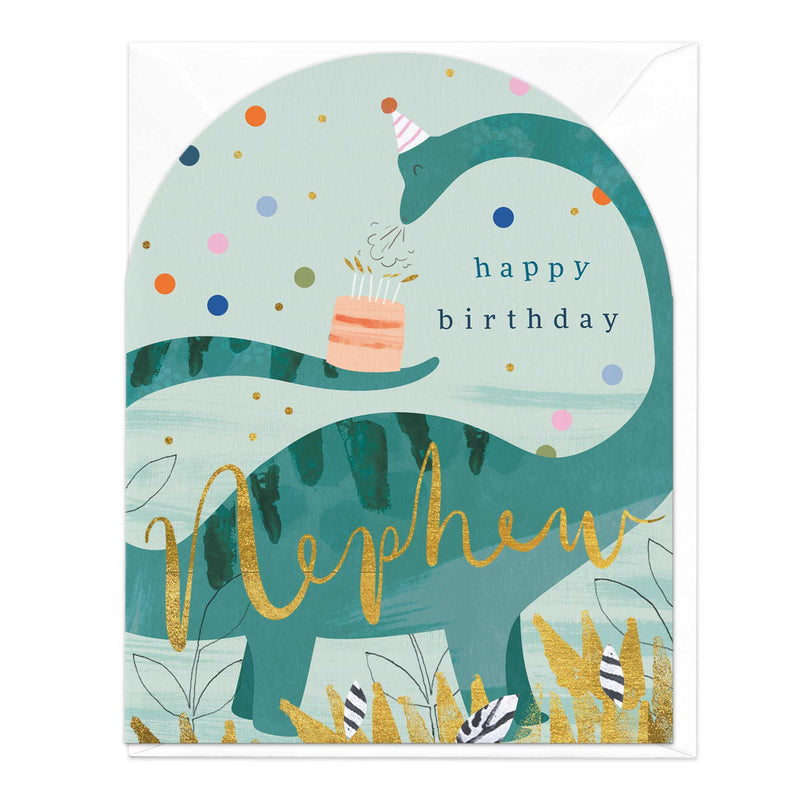 Greeting Card-E557 - Nephew Dinosaur Birthday Card-Whistlefish
