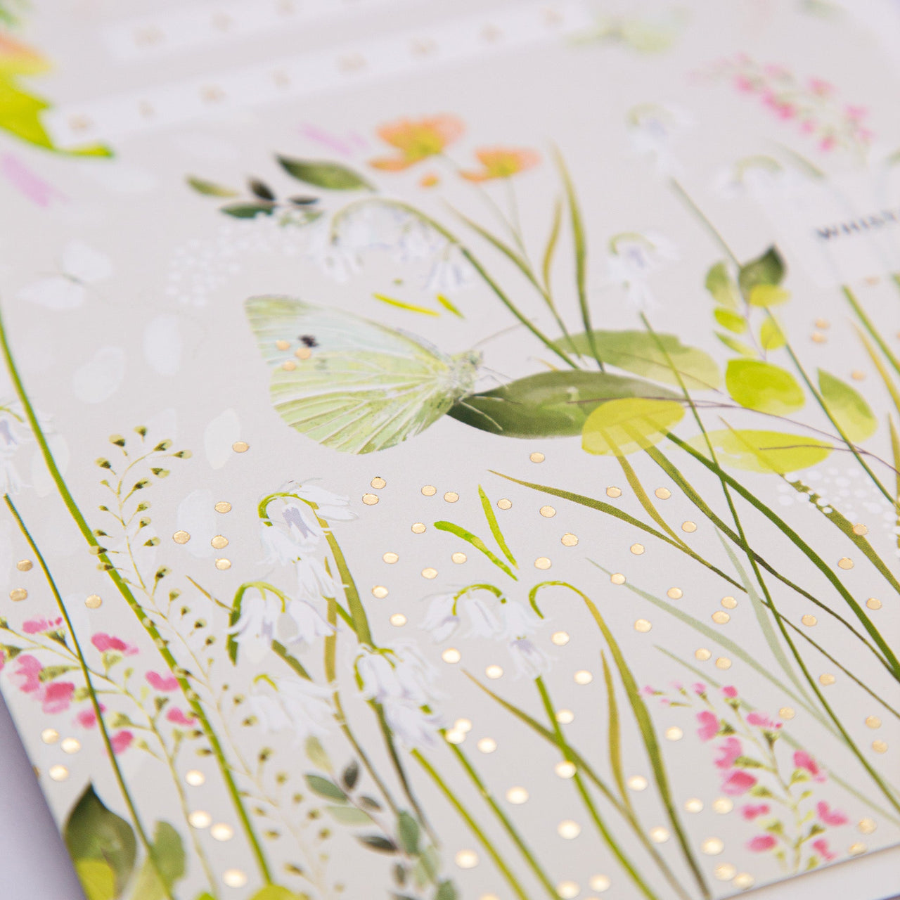 Greeting Card - E733 - Butterfly Meadow Birthday Card - Butterfly Meadow Birthday Card - Whistlefish