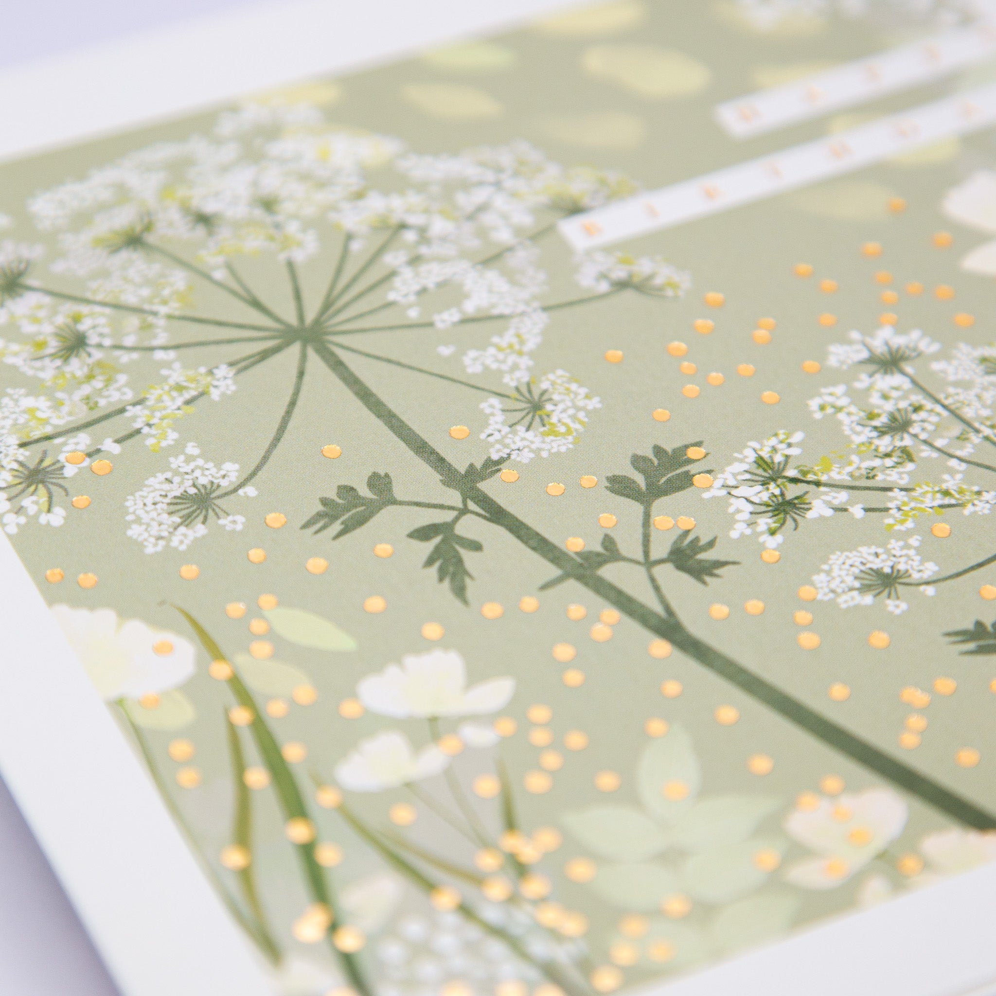 Greeting Card - E746 - Meadow Whisper Birthday Card - Meadow Whisper Birthday Card - Whistlefish