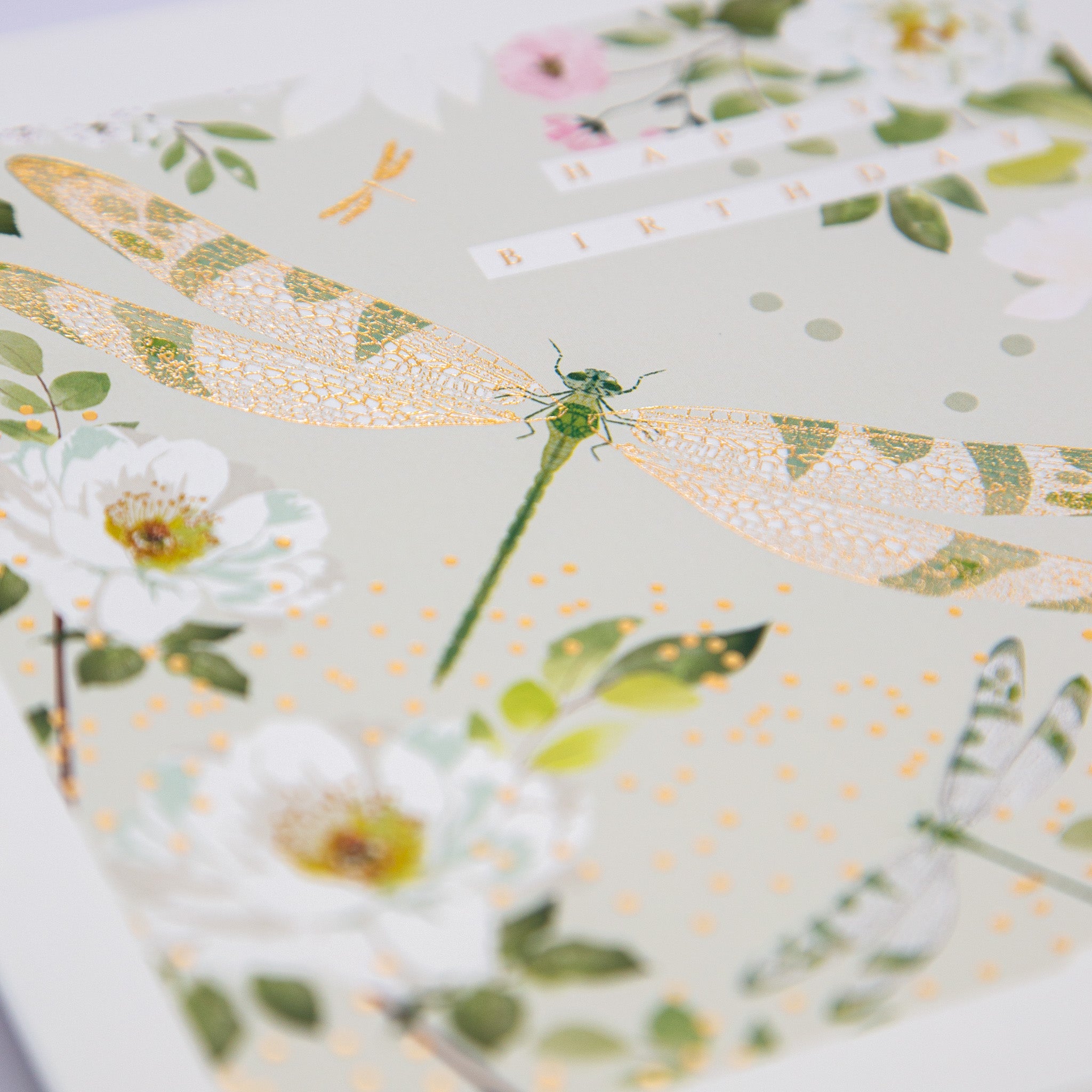 Greeting Card - E748 - Gossamer Wings Birthday Card - Gossamer Wings Birthday Card - Whistlefish