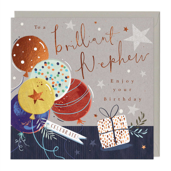 Greeting Card - E769 - Brilliant Newphew Birthday Card - Brilliant Newphew Birthday Card - Whistlefish