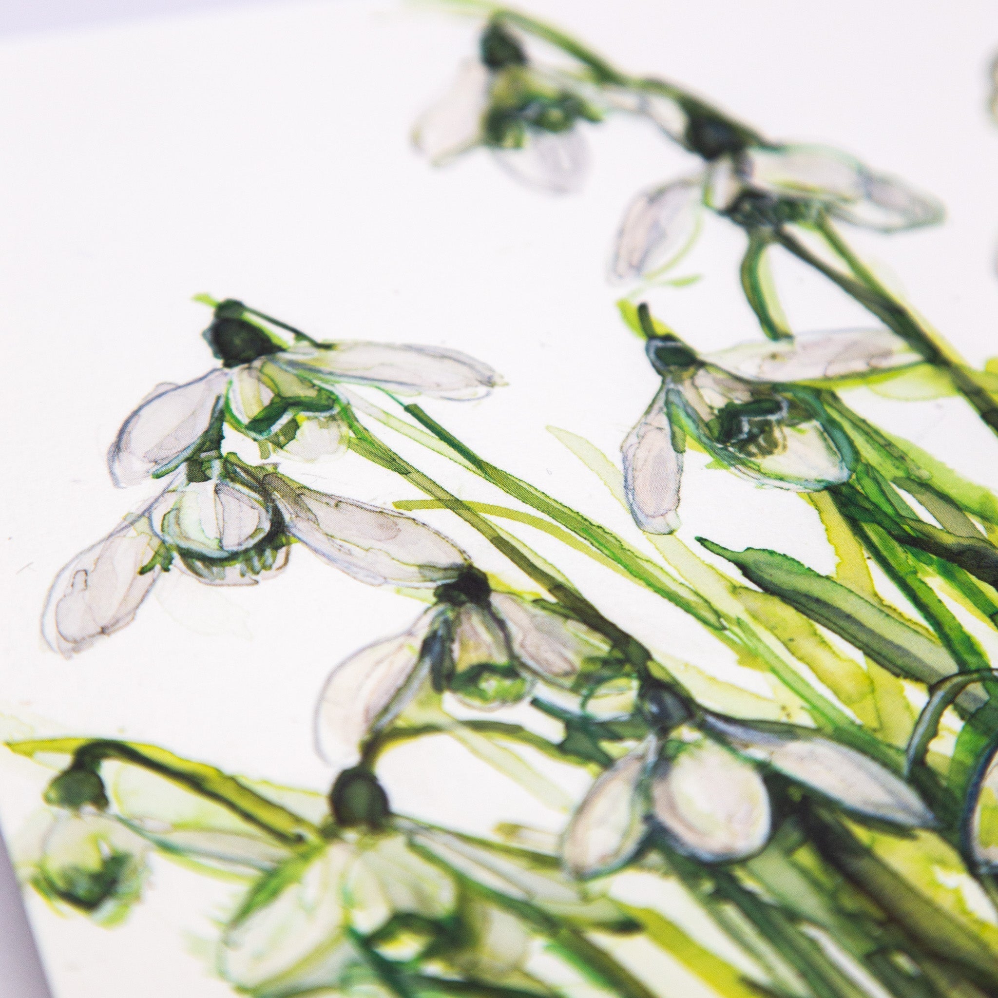 Greeting Card - E819 - Snowdrop Symphony Card - Snowdrop Symphony Card - Whistlefish