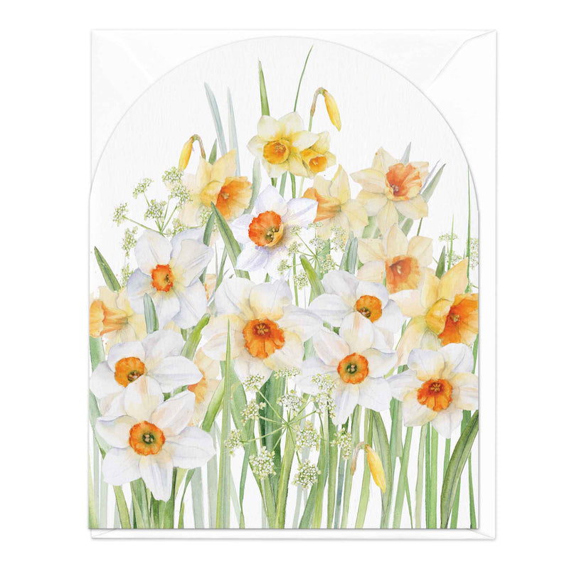 Greeting Card - E823 - Narcissi Art Card - Narcissi Art Card - Whistlefish