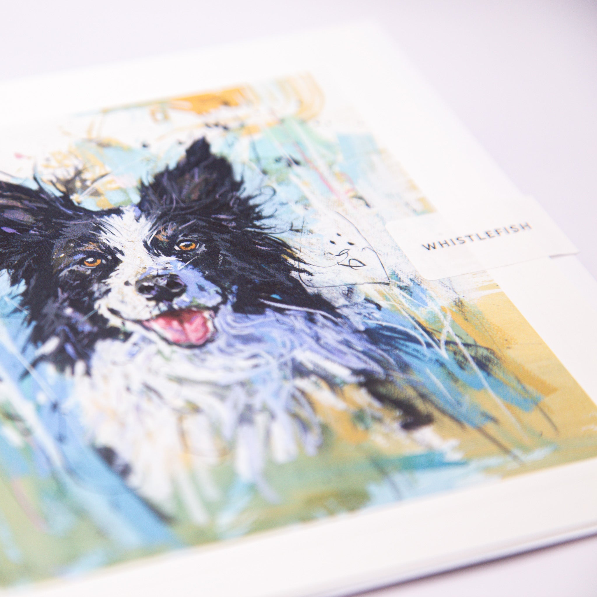 Greeting Card - F003 - Border Collie 2 Art Card - Border Collie 2 Art Card - Whistlefish