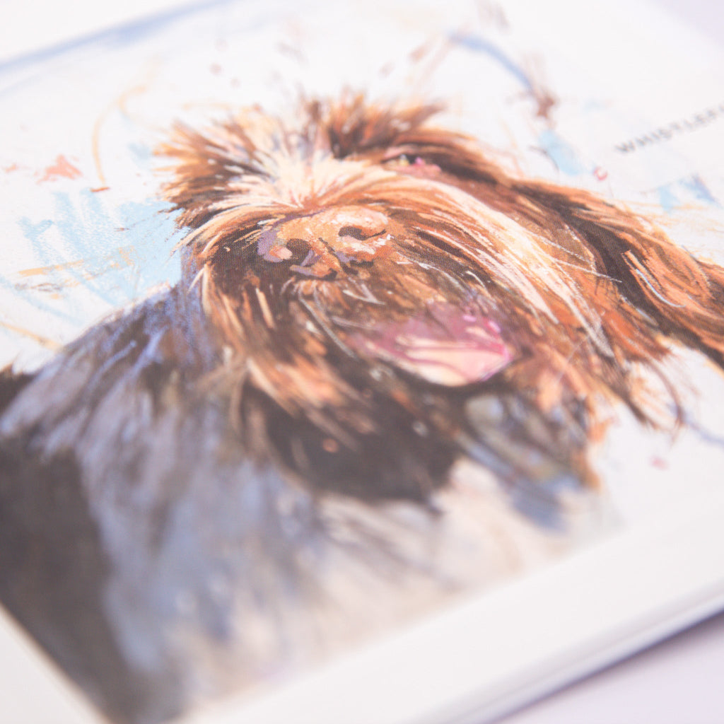 Greeting Card - F015 - Spinone Art Card - Spinone Art Card - Whistlefish