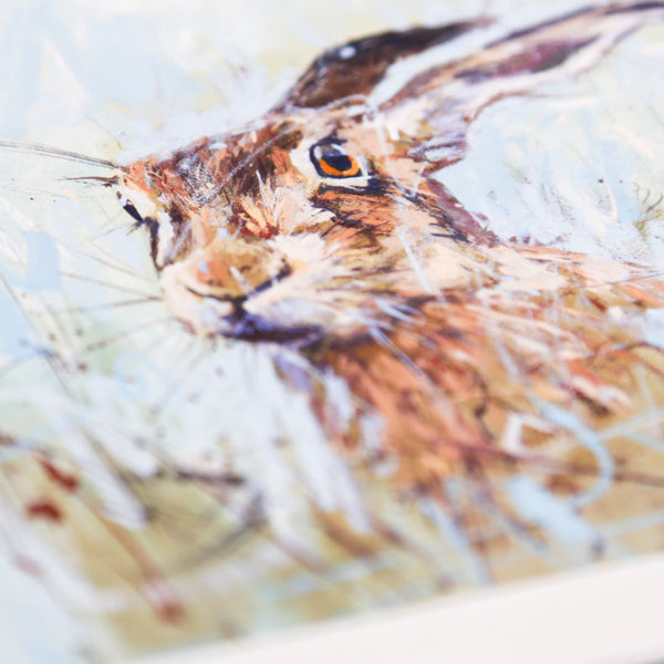 Greeting Card - F019 - Summer Hare Art Card - Summer Hare - Whistlefish